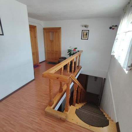 Camere De Inchiriat Edelweiss Dumbrava Roşie Exteriör bild