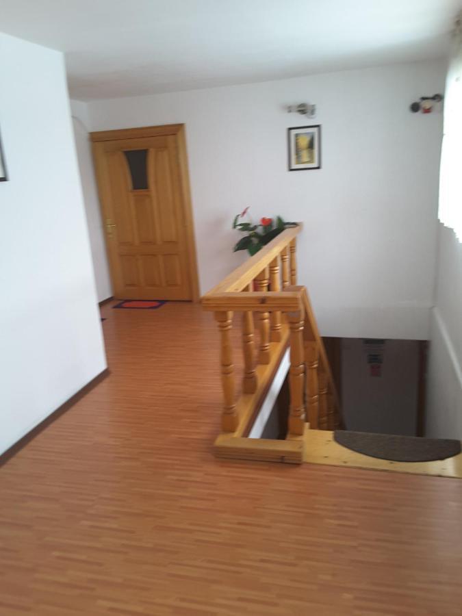 Camere De Inchiriat Edelweiss Dumbrava Roşie Exteriör bild