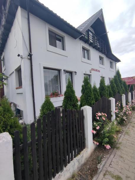 Camere De Inchiriat Edelweiss Dumbrava Roşie Exteriör bild